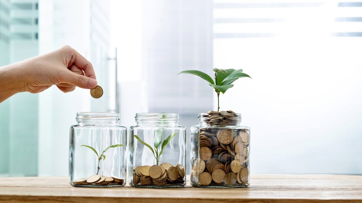 jar with coins and plant