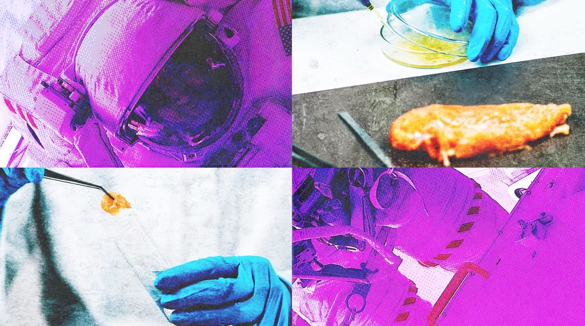 How NASA Testing Changed US Food Inspection Forever