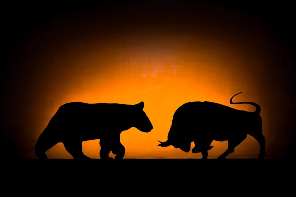 Shadows of a bull and bear. 
